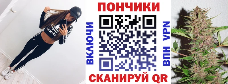 Конопля SATIVA & INDICA  закладка  даркнет клад  Орлов 
